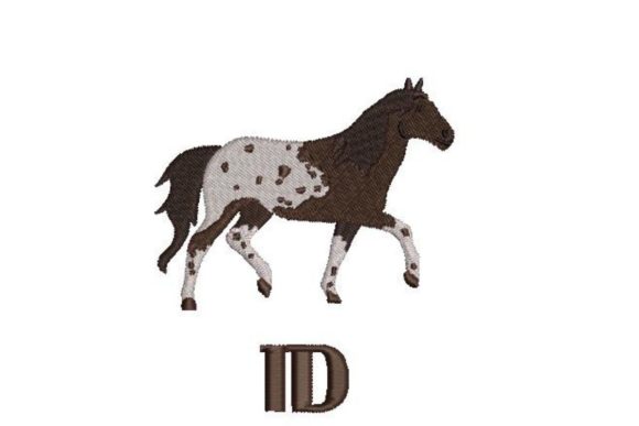 Appaloosa