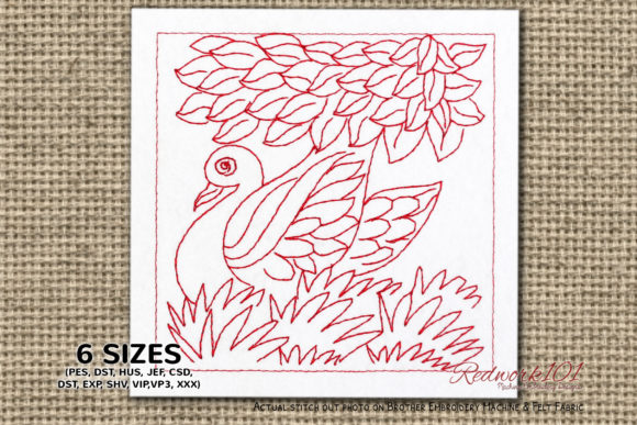 Swan Bird Design